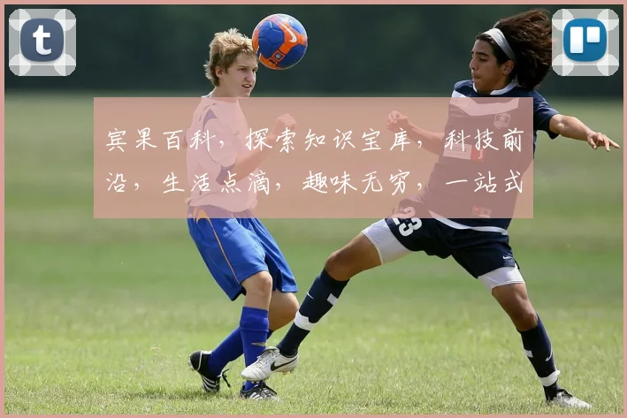 宾果百科，探索知识宝库，科技前沿，生活点滴，趣味无穷，一站式查询平台。