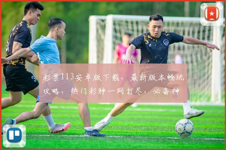 彩票113安卓版下载，最新版本畅玩攻略，热门彩种一网打尽，必备神器，不容错过